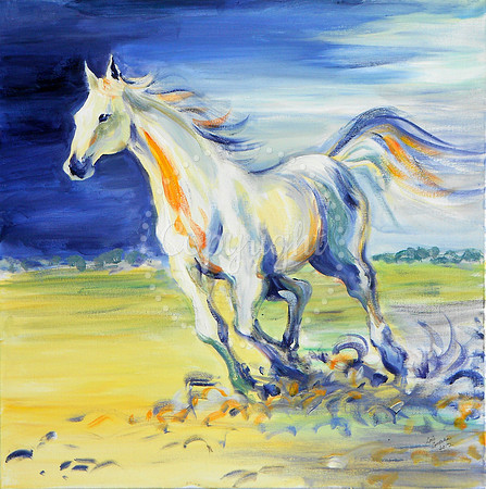Galloping White Horse of the Camargue
