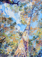 Scots Pine Canopy, palette knife acrylic