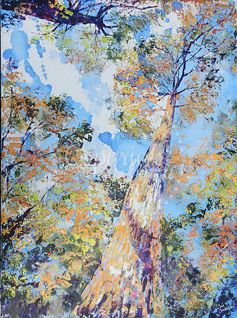 Scots Pine Canopy, palette knife acrylic
