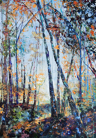 Autumn Woodland