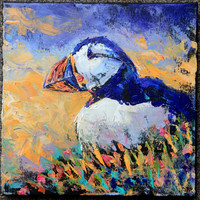 Puffin (palette knife)