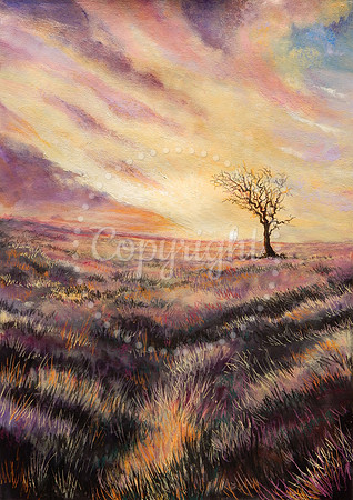 Moorland Sunrise
