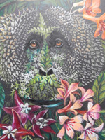 Wild Man of the Bornean Rainforest (orangutan)