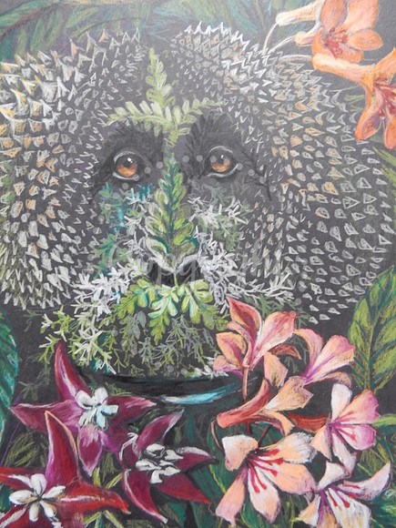 Wild Man of the Bornean Rainforest (orangutan)