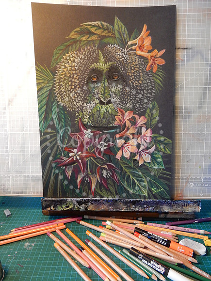 Wild Man of the Bornean Rainforest (orangutan)