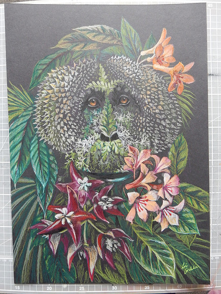 Wild Man of the Bornean Rainforest (orangutan)