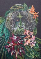 Wild Man of the Sumatran Rainforest (orangutan)