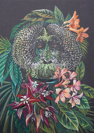 Wild Man of the Sumatran Rainforest (orangutan)