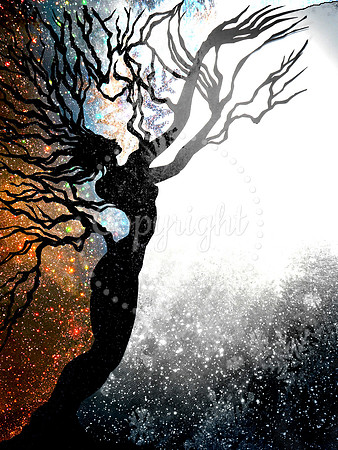 Reveal the Sacred Night - Book Illustration - papercut and digital