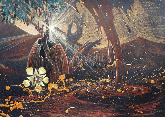 Cacao-scape - Chocolate-scape