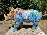 Vintage Norfolk ("Horation Horn O'Ceros") 2025