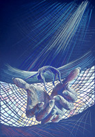 Safety Nets Reimagined, 2019