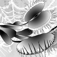 Black and white line and gradient illustration