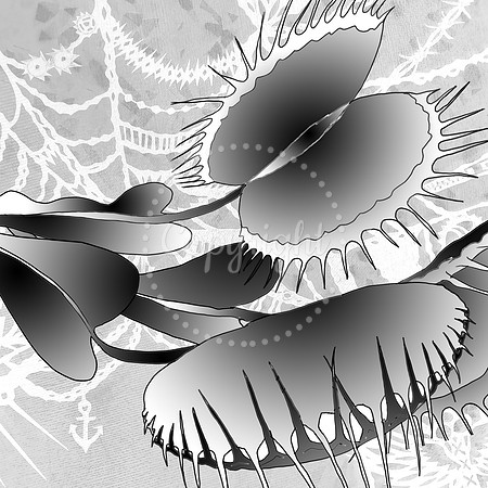 Black and white line and gradient illustration