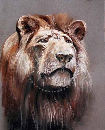 Aslan