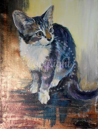 Kitten