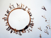 Coffee mug print paintings